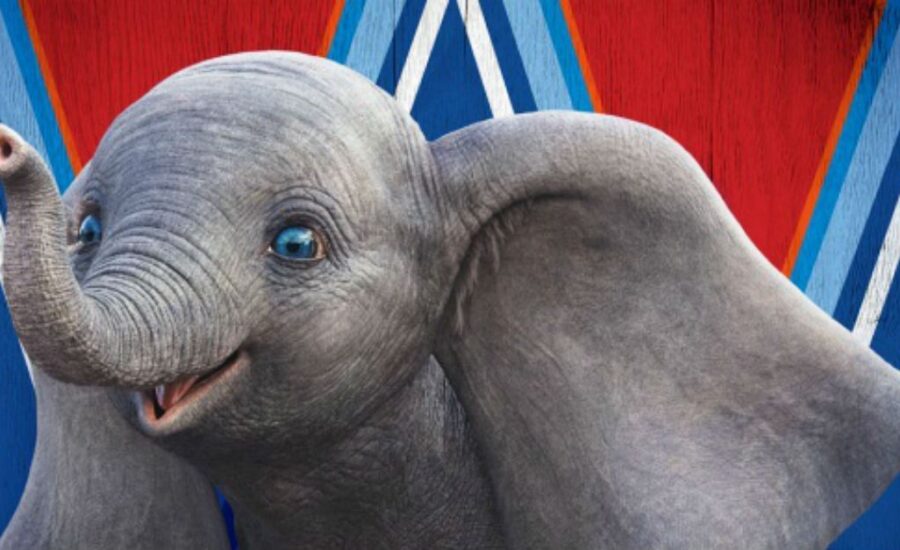 dumbo